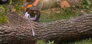 Lawn Grading and Leveling in Hope Mills, NC