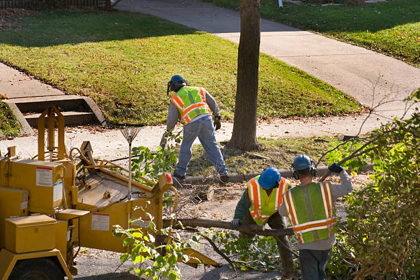 Best Tree Preservation Services  in Hope Mills, NC